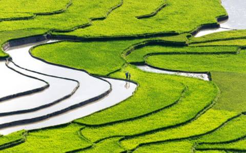 Vietnam Weather in January: Best Places to Visit & Expert Guide for Vietnam Tour 